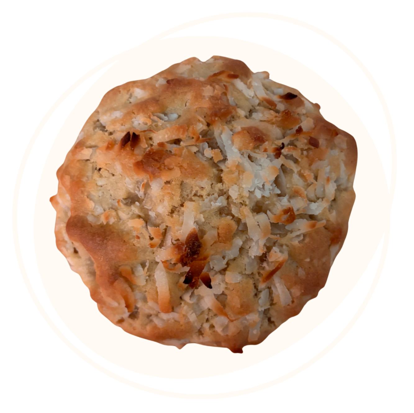 Coconut Truffle