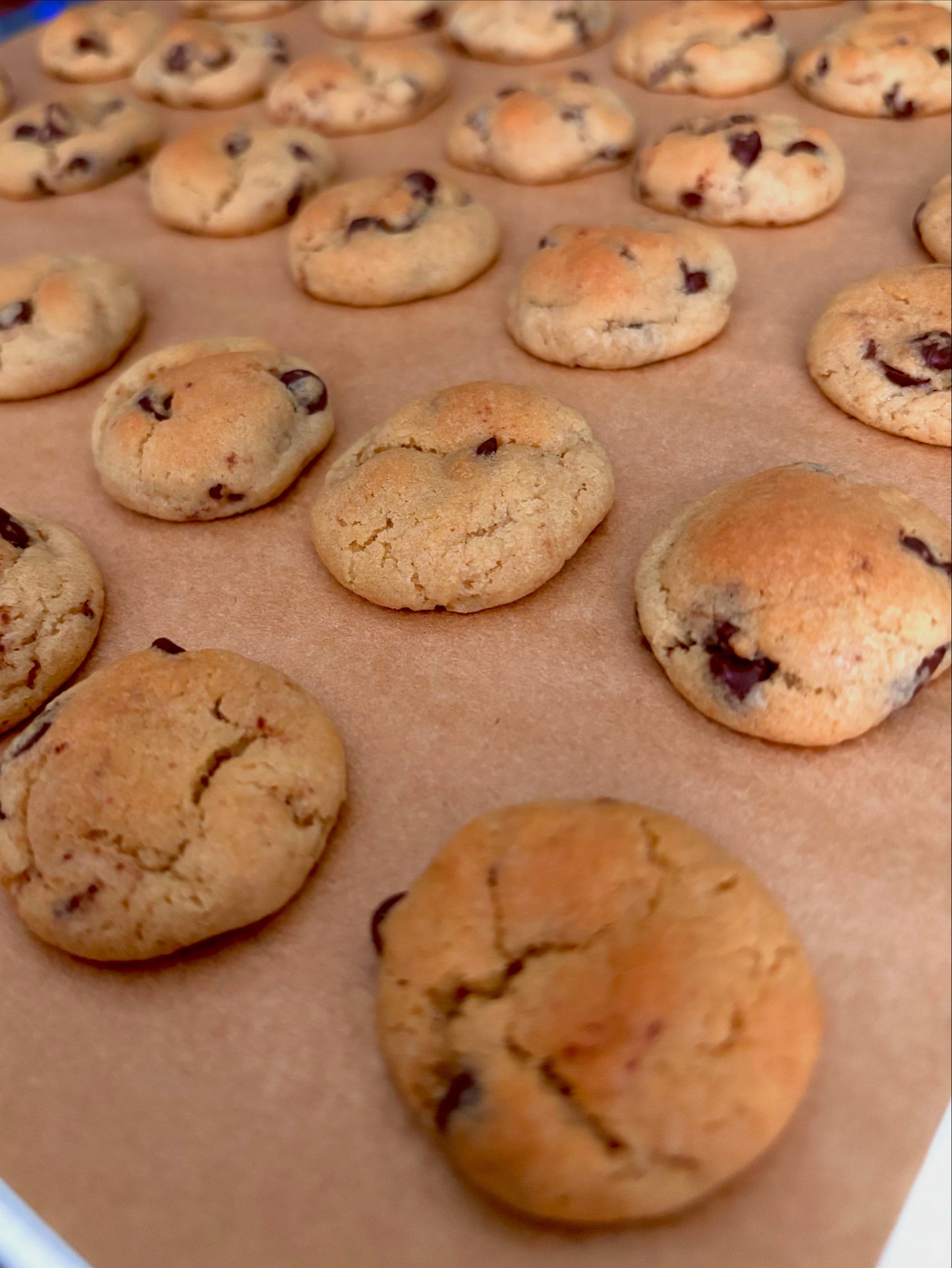 Mini Crunchy bites