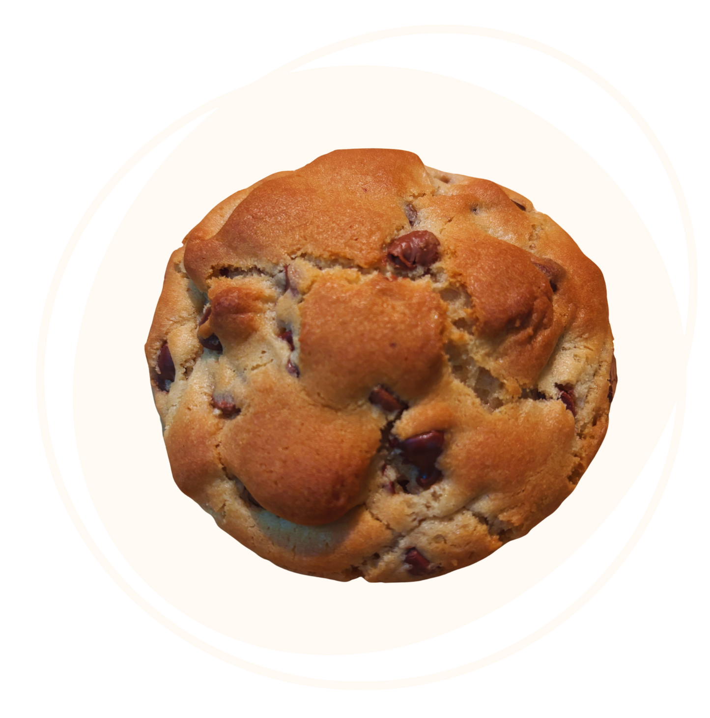 Chocolate Chip